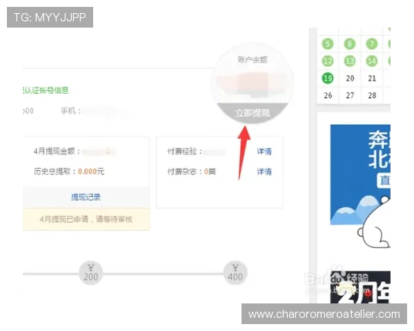 提升ag官方网会员登录成功率的实用技巧，确保账户安全无忧