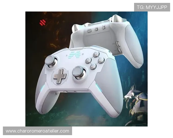 云顶集团网址下载安装指南帮助玩家快速注册体验最新游戏