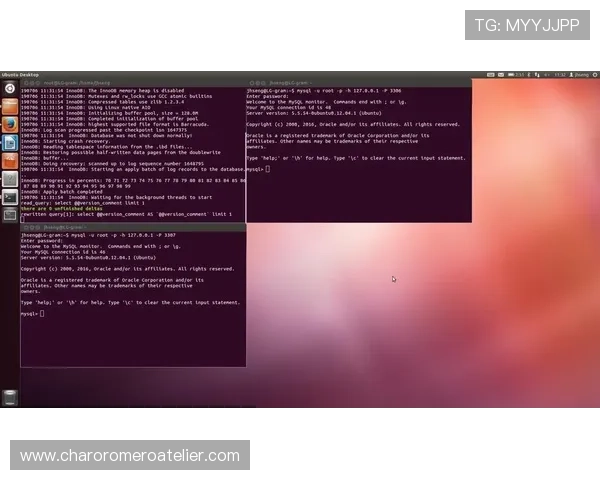 最新DB真人漏洞修复方案，确保您的游戏体验更加安全顺畅